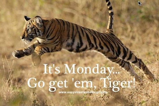 It's Monday, Tiger!