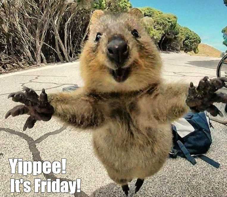 Yippee Friday!