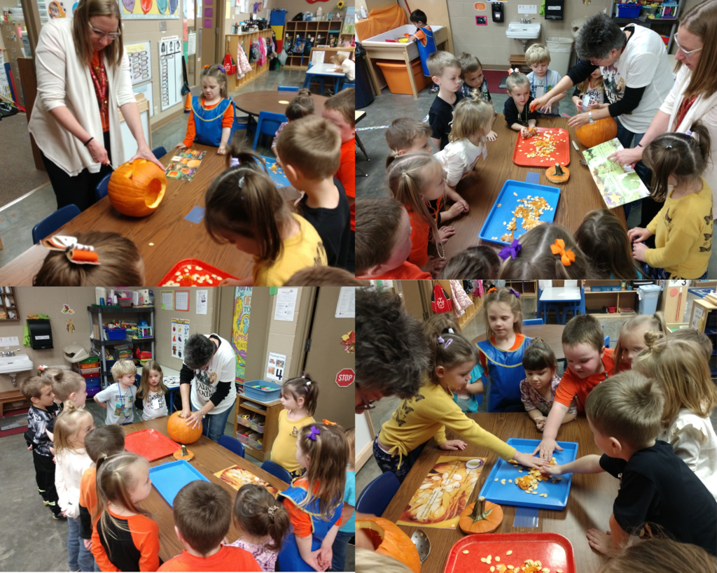 Pumpkin Exploration